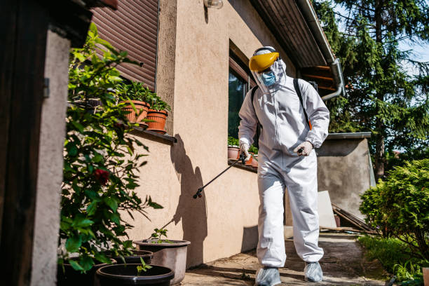 Best Termite Control Services  in Republic, PA