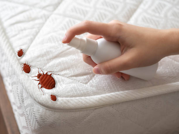 Best Affordable Pest Control Services  in Republic, PA